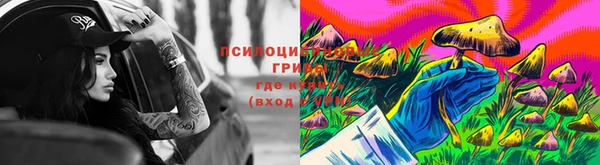 дживик Абинск