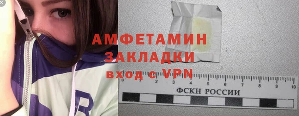 крисы Абаза