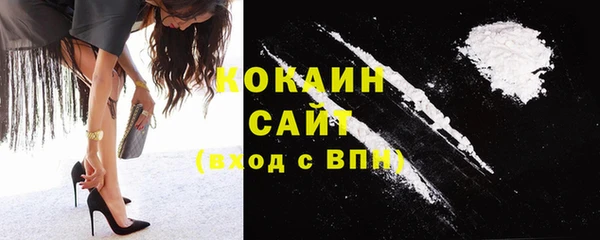 крисы Абаза
