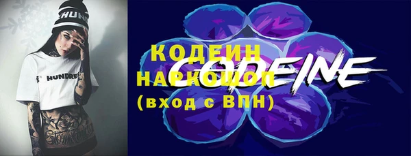 крисы Абаза
