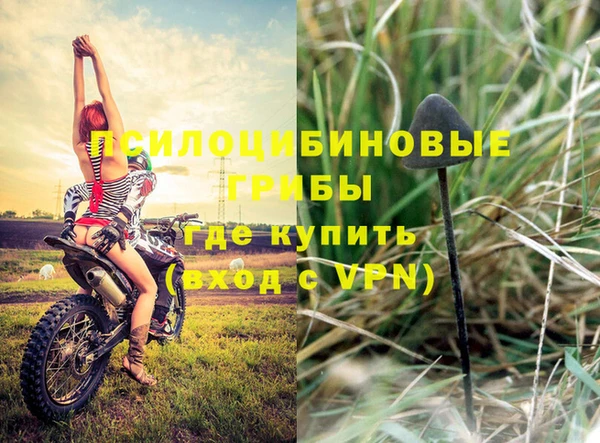дживик Абинск