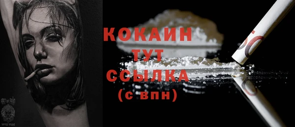 дживик Абинск
