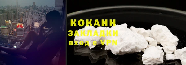 крисы Абаза