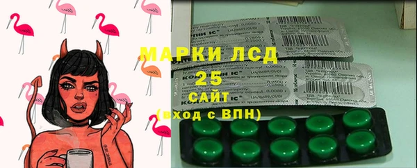 крисы Абаза