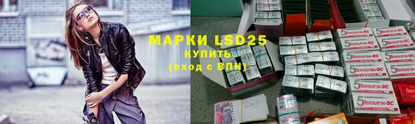 крисы Абаза