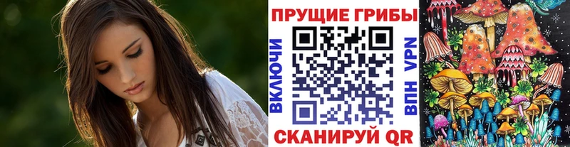 Галлюциногенные грибы Psilocybine cubensis купить наркотики сайты Екатеринбург