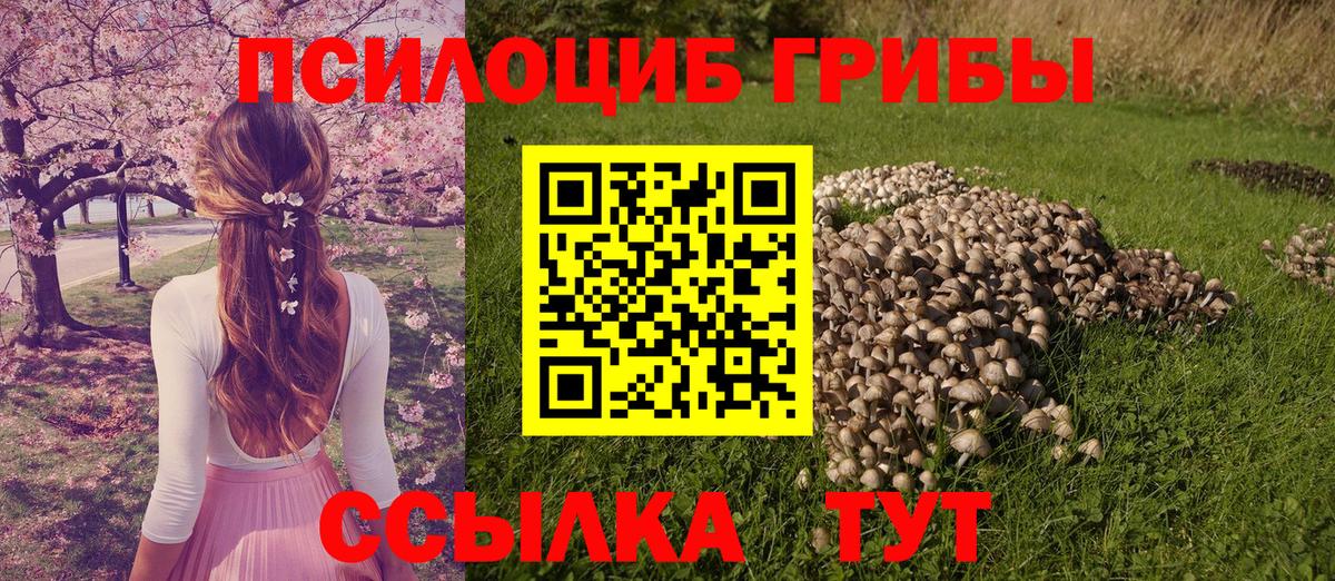купить   Галлюциногенные грибы MAGIC MUSHROOMS  Вход с VPN  Екатеринбург  Галлюциногенные грибы MAGIC MUSHROOMS 